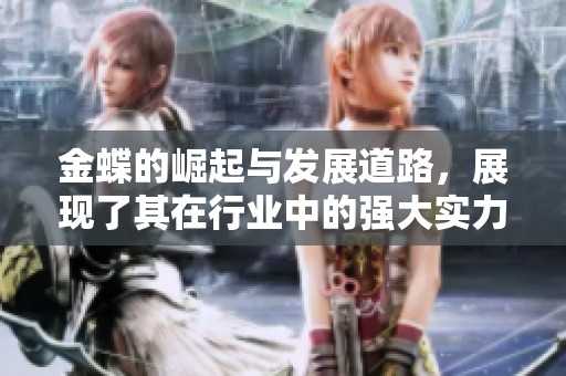 金蝶的崛起与发展道路，展现了其在行业中的强大实力