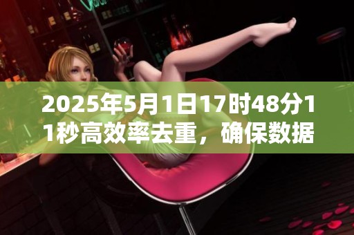 2025年5月1日17时48分11秒高效率去重，确保数据精准无误的最佳策略