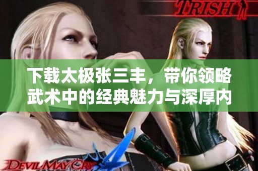 下载太极张三丰，带你领略武术中的经典魅力与深厚内涵