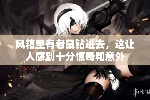 风箱里有老鼠钻进去，这让人感到十分惊奇和意外