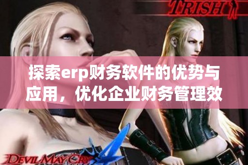 探索erp财务软件的优势与应用，优化企业财务管理效率与决策能力