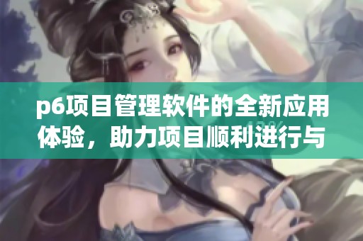 p6项目管理软件的全新应用体验，助力项目顺利进行与高效管理