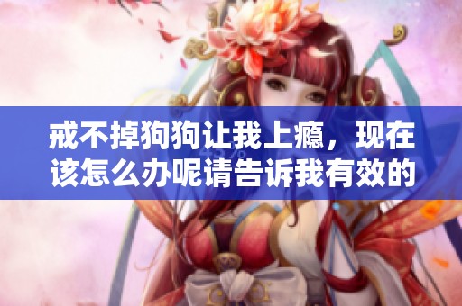 戒不掉狗狗让我上瘾，现在该怎么办呢请告诉我有效的方法