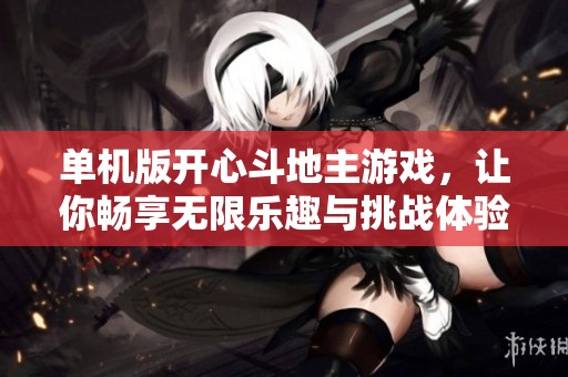 单机版开心***游戏，让你畅享无限乐趣与挑战体验