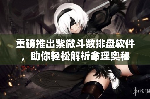 重磅推出紫微斗数排盘软件，助你轻松解析命理奥秘