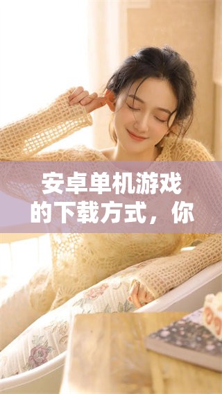 安卓单机游戏的下载方式，你知道吗？这款游戏在这里等你来体验！