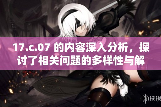 17.c.07 的内容深入分析，探讨了相关问题的多样性与解决方案