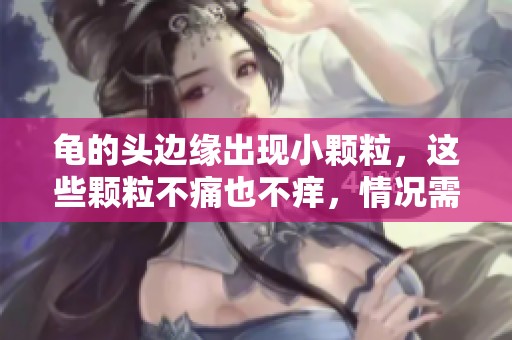 龟的头边缘出现小颗粒，这些颗粒不痛也不痒，情况需关注。