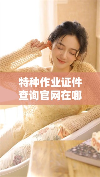 特种作业证件查询官网在哪儿？操作证的相关信息请提前了解