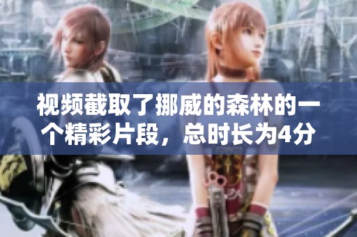 视频截取了挪威的森林的一个精彩片段，总时长为4分钟。
