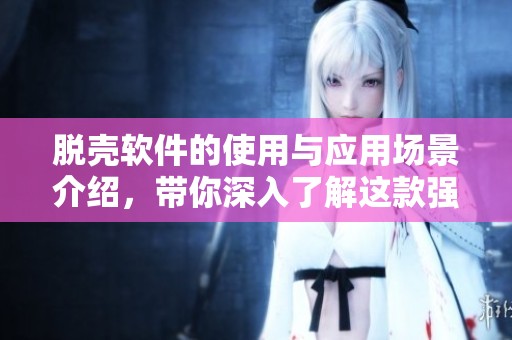 脱壳软件的使用与应用场景介绍，带你深入了解这款强大工具