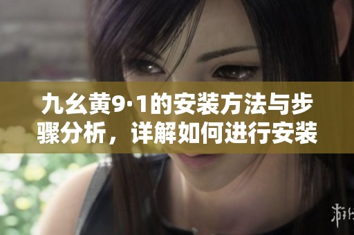 九幺黄9·1的安装方法与步骤分析，详解如何进行安装操作