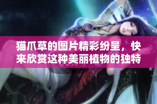 猫爪草的图片精彩纷呈，快来欣赏这种美丽植物的独特魅力吧