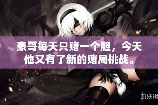 豪哥每天只赌一个胆，今天他又有了新的赌局挑战。