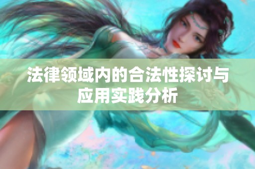 法律领域内的合法性探讨与应用实践分析