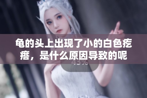 龟的头上出现了小的白色疙瘩，是什么原因导致的呢