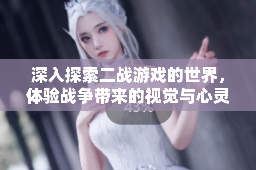 深入探索二战游戏的世界，体验战争带来的视觉与心灵震撼