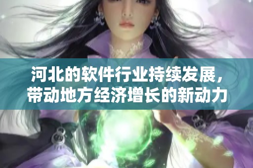 河北的软件行业持续发展，带动地方经济增长的新动力