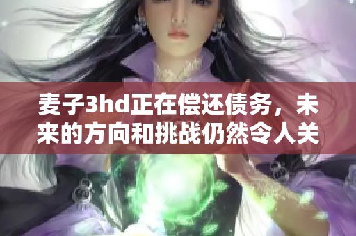 麦子3hd正在偿还债务，未来的方向和挑战仍然令人关注