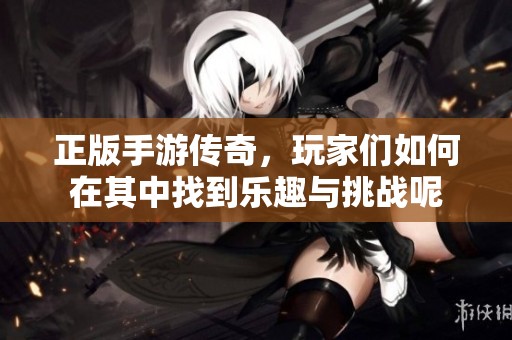 正版手游传奇，玩家们如何在其中找到乐趣与挑战呢
