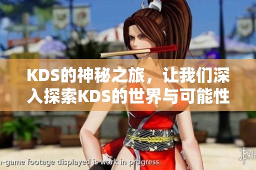 KDS的神秘之旅，让我们深入探索KDS的世界与可能性