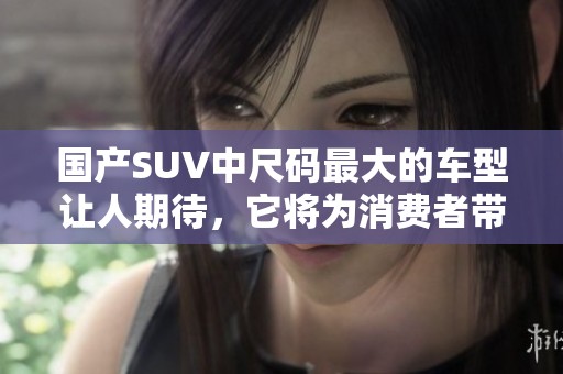 国产SUV中尺码最大的车型让人期待，它将为消费者带来全新的选择体验