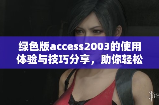 绿色版access2003的使用体验与技巧分享，助你轻松掌握其中的魅力