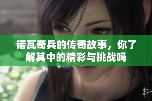 诺瓦奇兵的传奇故事，你了解其中的精彩与挑战吗