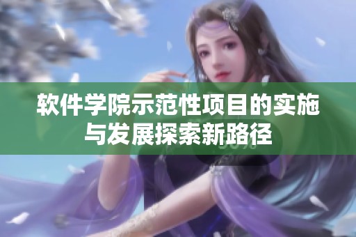 软件学院示范性项目的实施与发展探索新路径