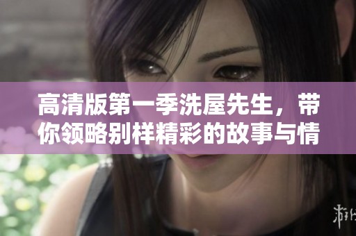 高清版第一季洗屋先生，带你领略别样精彩的故事与情感