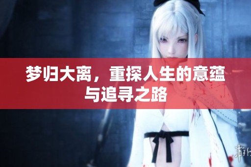 梦归大离，重探人生的意蕴与追寻之路
