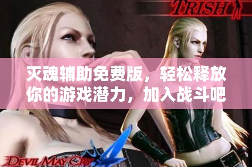 灭魂辅助免费版，轻松释放你的游戏潜力，加入战斗吧！