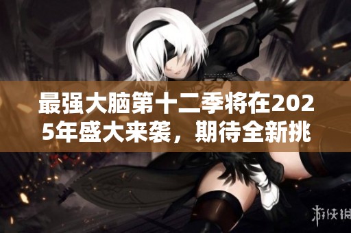 最强大脑第十二季将在2025年盛大来袭，期待全新挑战与精彩瞬间！