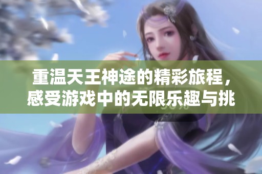 重温天王神途的精彩旅程，感受游戏中的无限乐趣与挑战