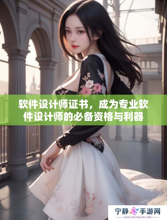 软件设计师证书，成为专业软件设计师的必备资格与利器