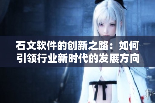 石文软件的创新之路：如何引领行业新时代的发展方向