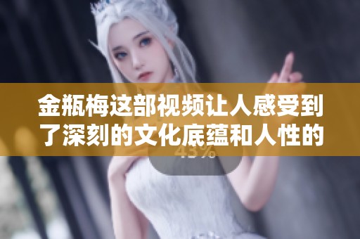 金瓶梅这部视频让人感受到了深刻的文化底蕴和人性的复杂性