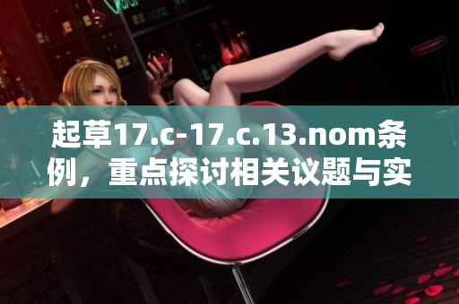 起草17.c-17.c.13.nom条例，重点探讨相关议题与实施细节