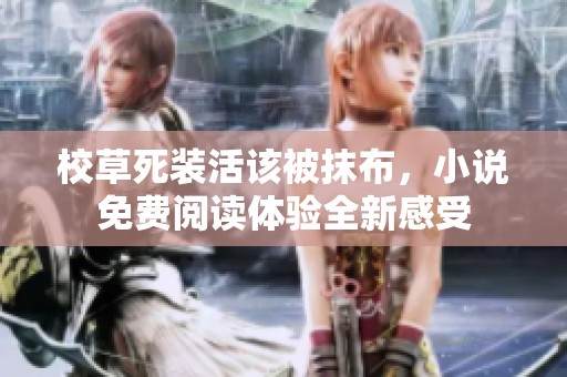 校草死装活该被抹布，小说免费阅读体验全新感受