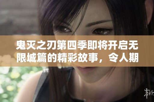 鬼灭之刃第四季即将开启无限城篇的精彩故事，令人期待不已