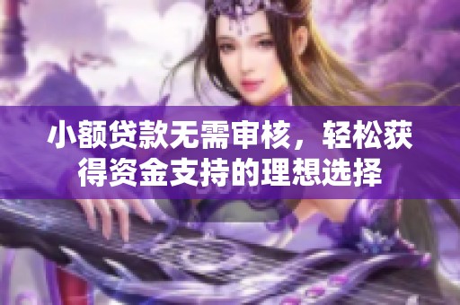 小额贷款无需审核，轻松获得资金支持的理想选择
