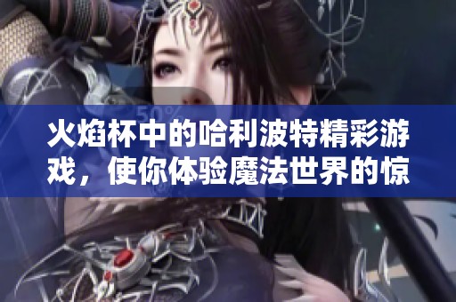 火焰杯中的哈利波特精彩游戏，使你体验魔法世界的惊险与奇幻