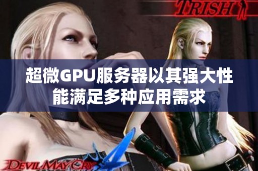 超微GPU服务器以其强大性能满足多种应用需求