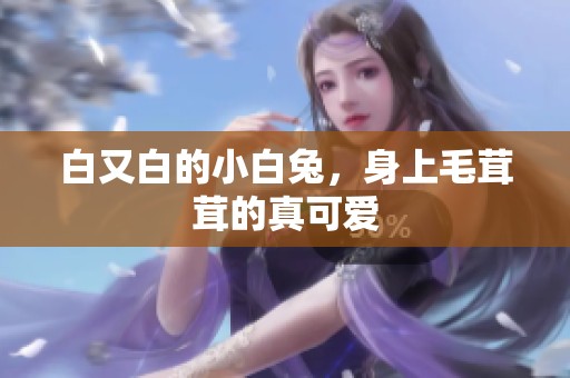 白又白的小白兔，身上毛茸茸的真可爱