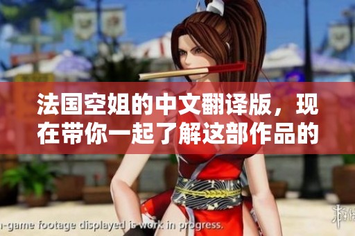 法国空姐的中文翻译版，现在带你一起了解这部作品的故事与魅力。