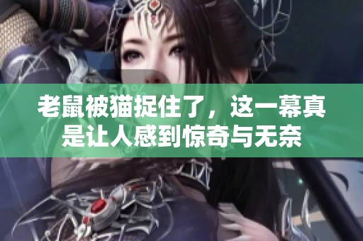 老鼠被猫捉住了，这一幕真是让人感到惊奇与无奈