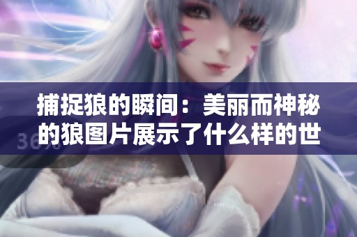 捕捉狼的瞬间：美丽而神秘的狼图片展示了什么样的世界