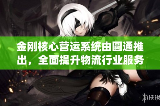 金刚核心营运系统由圆通推出，全面提升物流行业服务效率与质量