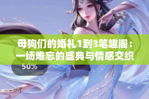 母狗们的婚礼1到3笔趣阁：一场难忘的盛典与情感交织的故事