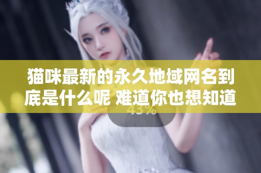 猫咪最新的永久地域网名到底是什么呢 难道你也想知道吗